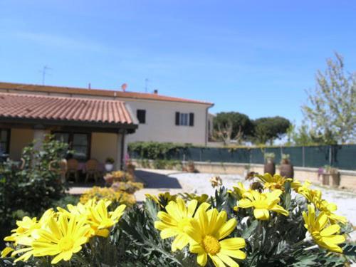 Agriturismo Podere San Michele San Vincenzo Ngoại thất bức ảnh